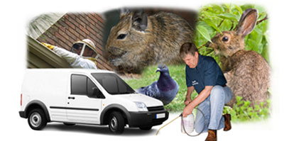 Westhoughton local van